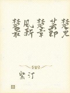 楚风楚芸楚鸿飞最新章节免费阅读