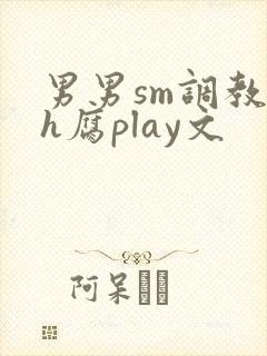男男sm调教高h腐play文