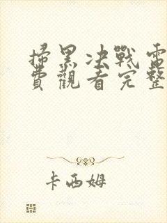 扫黑决战电影免费观看完整版封面