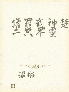 修罗武神楚枫第二只界灵