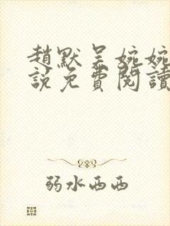 赵默吴婉婉的小说免费阅读无弹窗封面