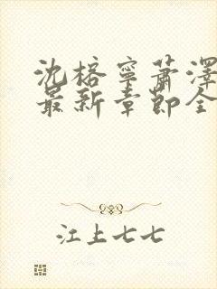 沈榕宁萧泽小说最新章节全文阅读