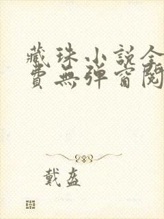 藏珠小说全文免费无弹窗阅读