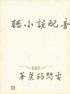 听小说配音封面