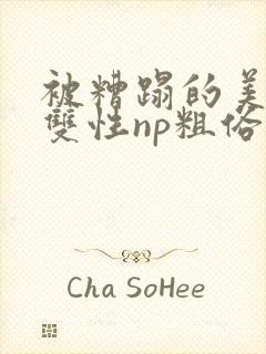 被糟蹋的美人(双性np粗俗)封面