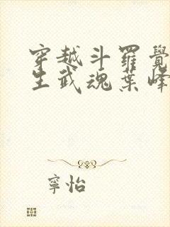 穿越斗罗觉醒三生武魂叶峰