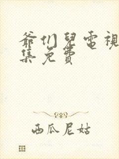 爷们儿电视剧全集免费