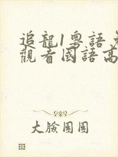 追龙1粤语免费观看国语高清