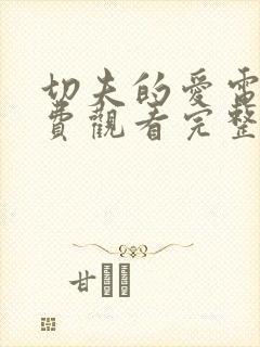 切夫的爱电影免费观看完整版封面