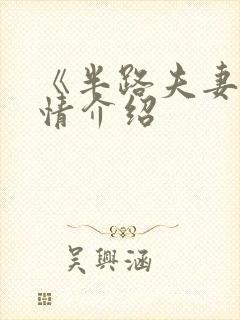 《半路夫妻》剧情介绍