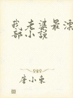 我老婆最漂亮全部小说