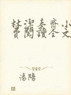 林洁秦齐小说免费阅读全文最新章节