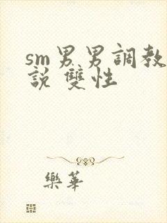 sm男男调教小说 双性封面