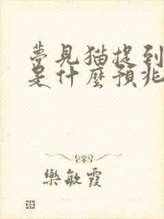 梦见猫捉到老鼠是什么预兆