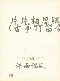 片片相思赋予谁(古筝竹笛合奏曲)封面