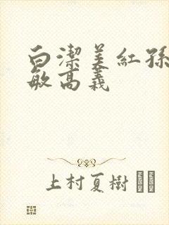 白洁美红孙倩赵敏高义封面