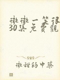 微微一笑很倾城30集免费观看超清封面