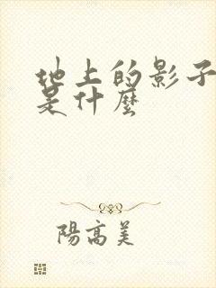 地上的影子生肖是什么