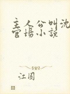 主人公叫沈荡的官场小说