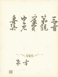 妻中蜜第三季全集免费观看