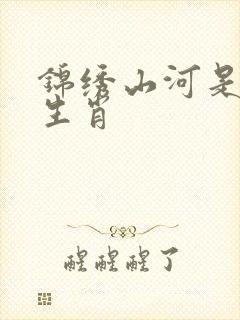 锦绣山河是什么生肖封面