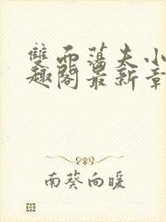 双面荡夫小说笔趣阁最新章节免费阅读封面