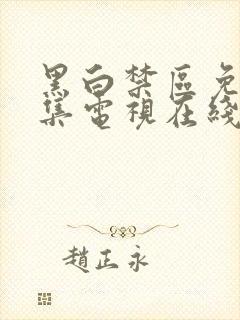 黑白禁区免费全集电视在线观看