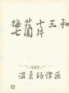 梅花十三和伍六七图片封面