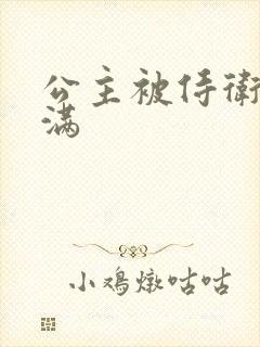 公主被侍卫填的满