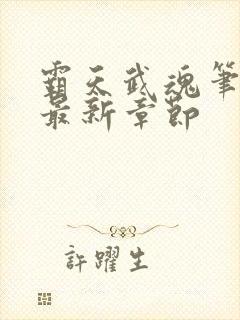 霸天武魂笔趣阁最新章节