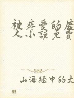 被疼爱的废物美人小说免费阅读