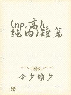 (np,高h,纯肉)短篇
