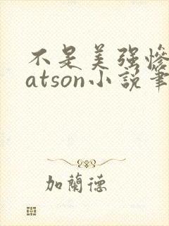 不是美强惨是batson小说笔趣阁