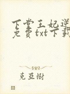 下堂王妃逆袭记免费txt下载封面