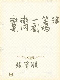 微微一笑很倾城是网剧吗