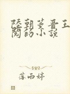 陆朝菱晋王周时阅的小说封面