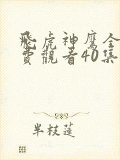 飞虎神鹰全集免费观看40集