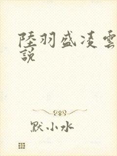 陆羽盛凌云的小说