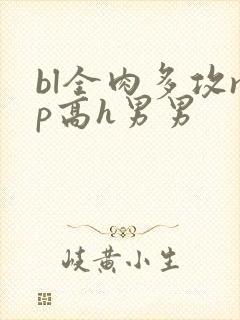 bl全肉多攻np高h男男封面