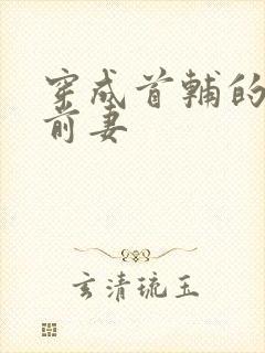 穿成首辅的炮灰前妻