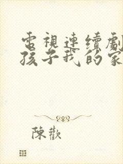 电视连续剧我的孩子我的家