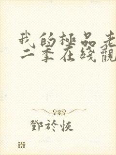 我的极品老婆第二季在线观看封面