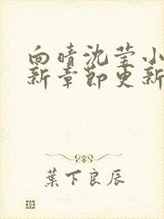 向晴沈莹小说最新章节更新