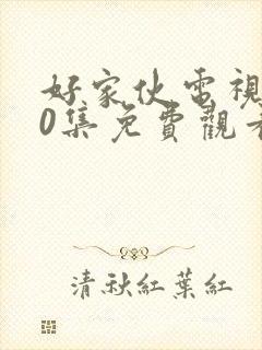 好家伙电视剧40集免费观看完整版高清