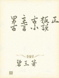 男主古板正经的古言小说封面