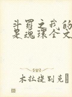 斗罗之我的武魂是魂环全文