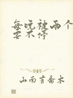 每晚被两个师傅要不停封面