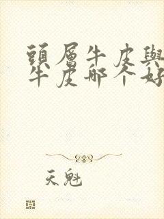 头层牛皮与二层牛皮哪个好?