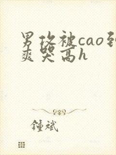 男攻被cao到爽哭高h