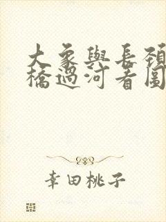 大象与长颈鹿搭桥过河看图写话